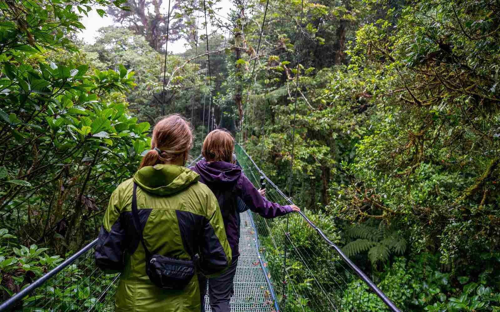 Navigate canopy walks in Costa Ricax27;s dense cloud forests
