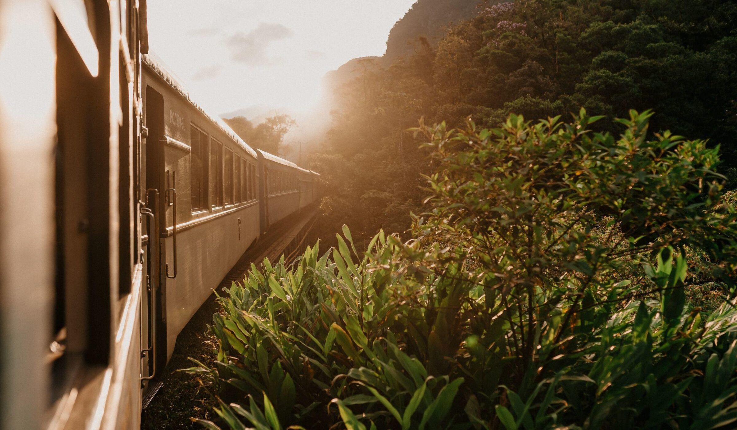 The exterior of the Eastern & Oriental Express curving through the jungle at sunset