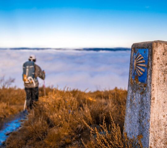 The scallop shell has long guided pilgrims along the Camino de Santiago