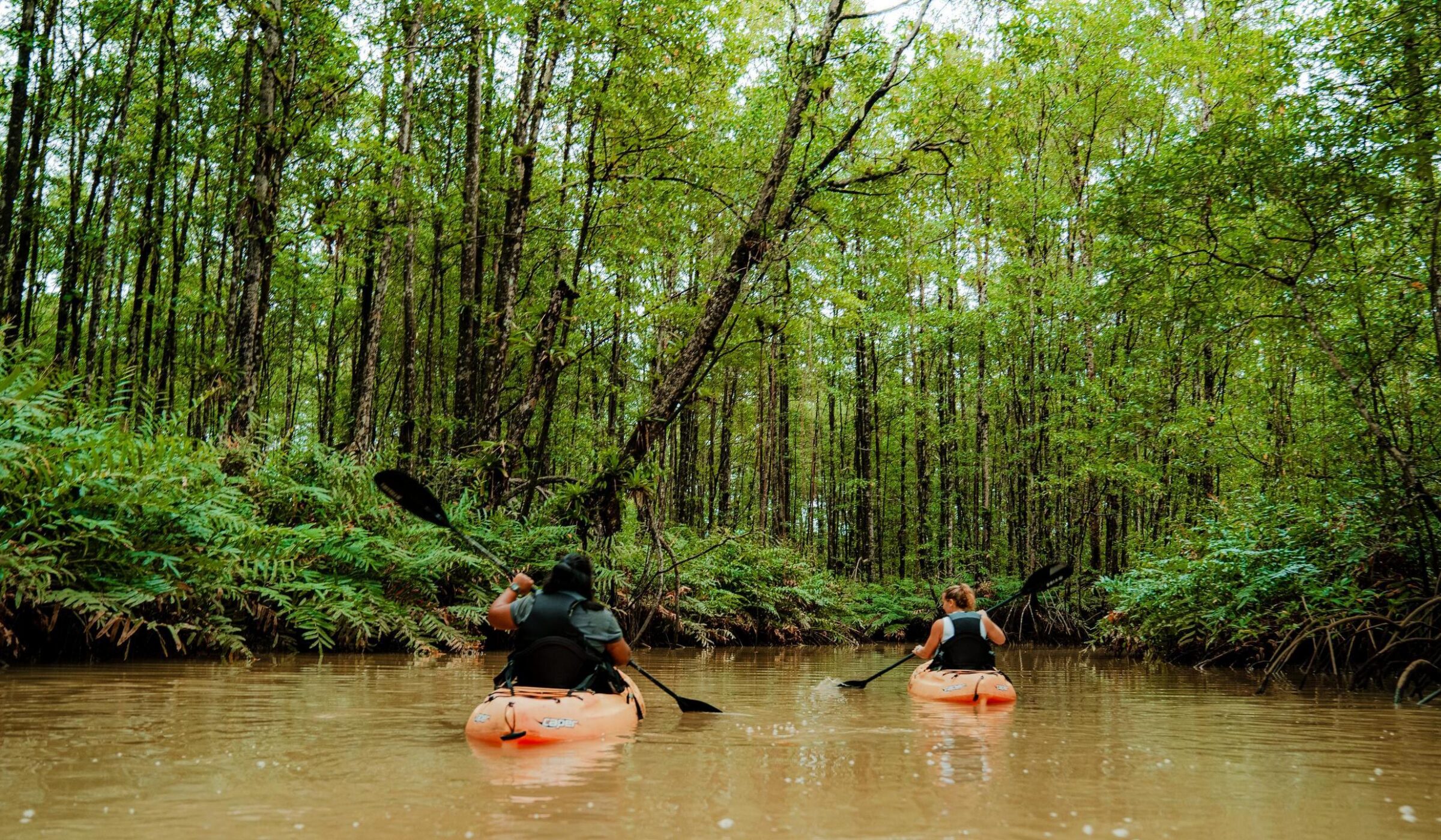 Two people paddling orange kayaks on a river surrounded by dense mangroves for an active costa rica trip.