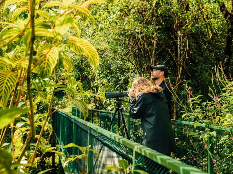 Two people on a green metal walkway in a forest, one looking through a scope in active costa rica.