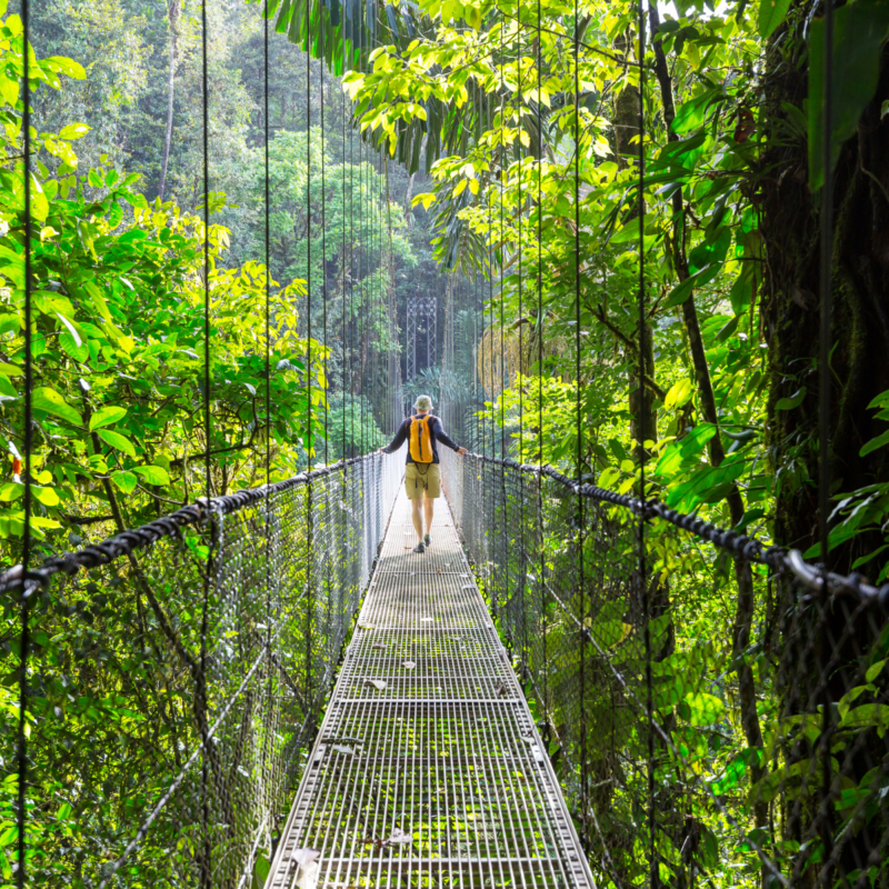 Hiker walking across a metal suspension bridge in a lush rainforest on Costa Rica adventure tours.