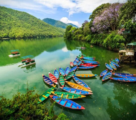 Glide across the serene waters of Phewa Tal.