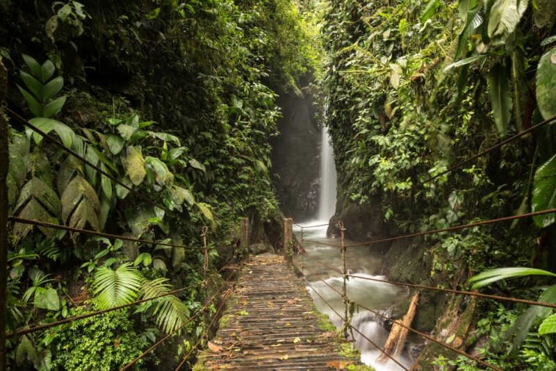 A waterfall in the Mindo cloud forest of Ecuador