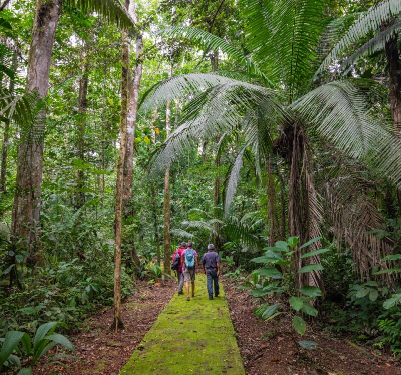 People walking through Yasuni National Park in the Ecuadorian Amazon