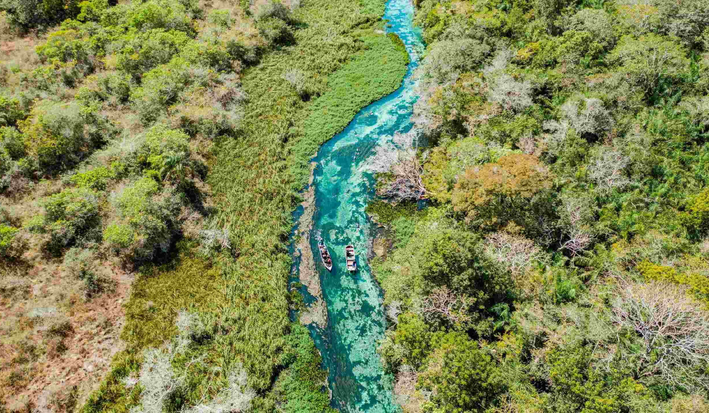 Aerial view of a river in Bonito, Brazil