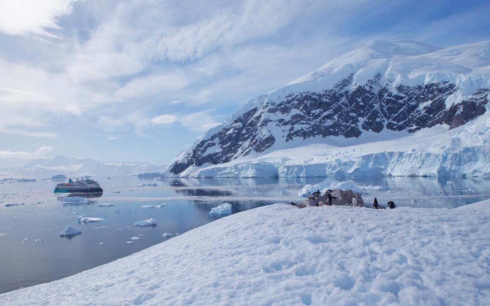 Travel through the Antarcticx27;s icy waters on the Sylvia Earle.