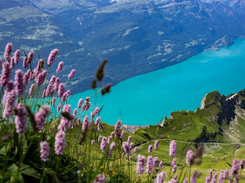Swiss Alps