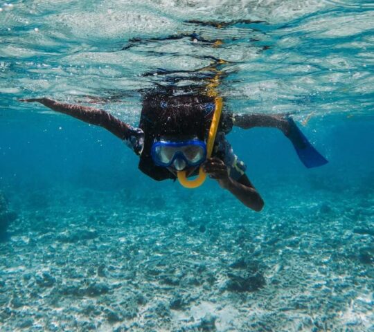 Marvel at the underwater world of the Red Sea