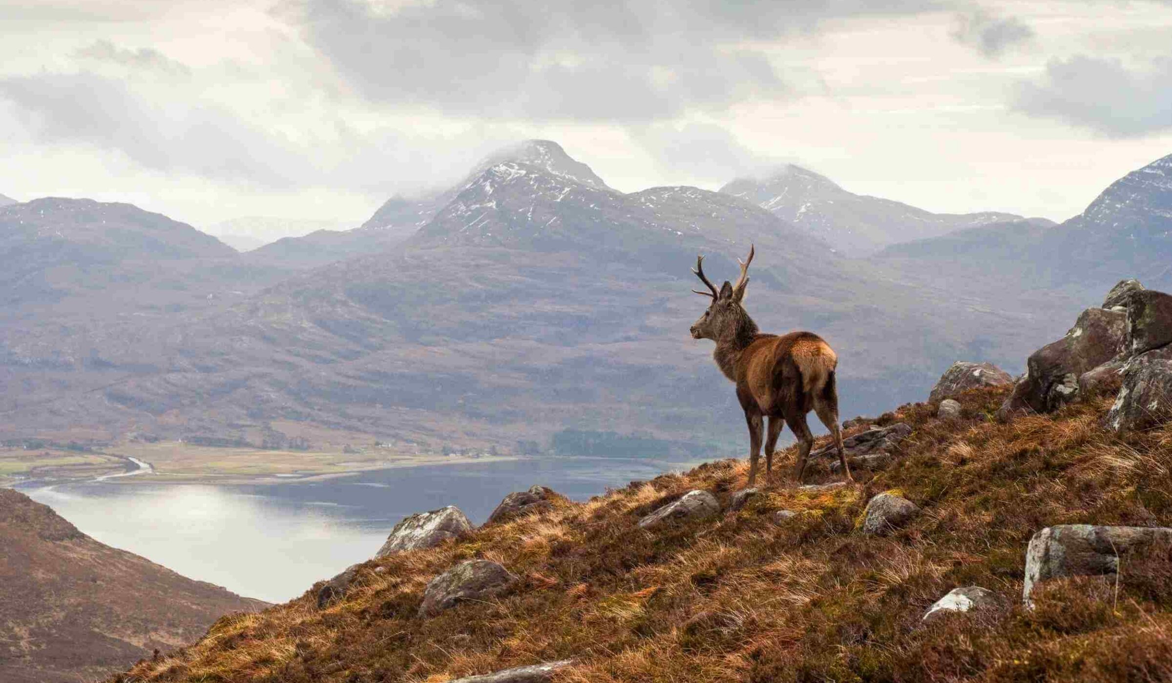 Go wild in the Scottish Highlands