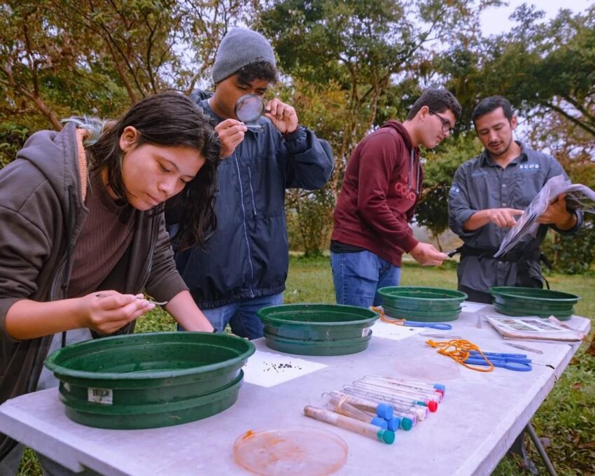 Seed Dispersal and Ecosystem Architects