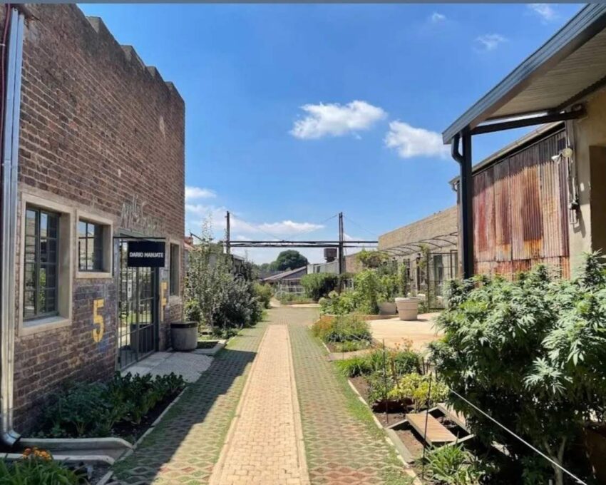 Victoria Yards and Constitution Hill