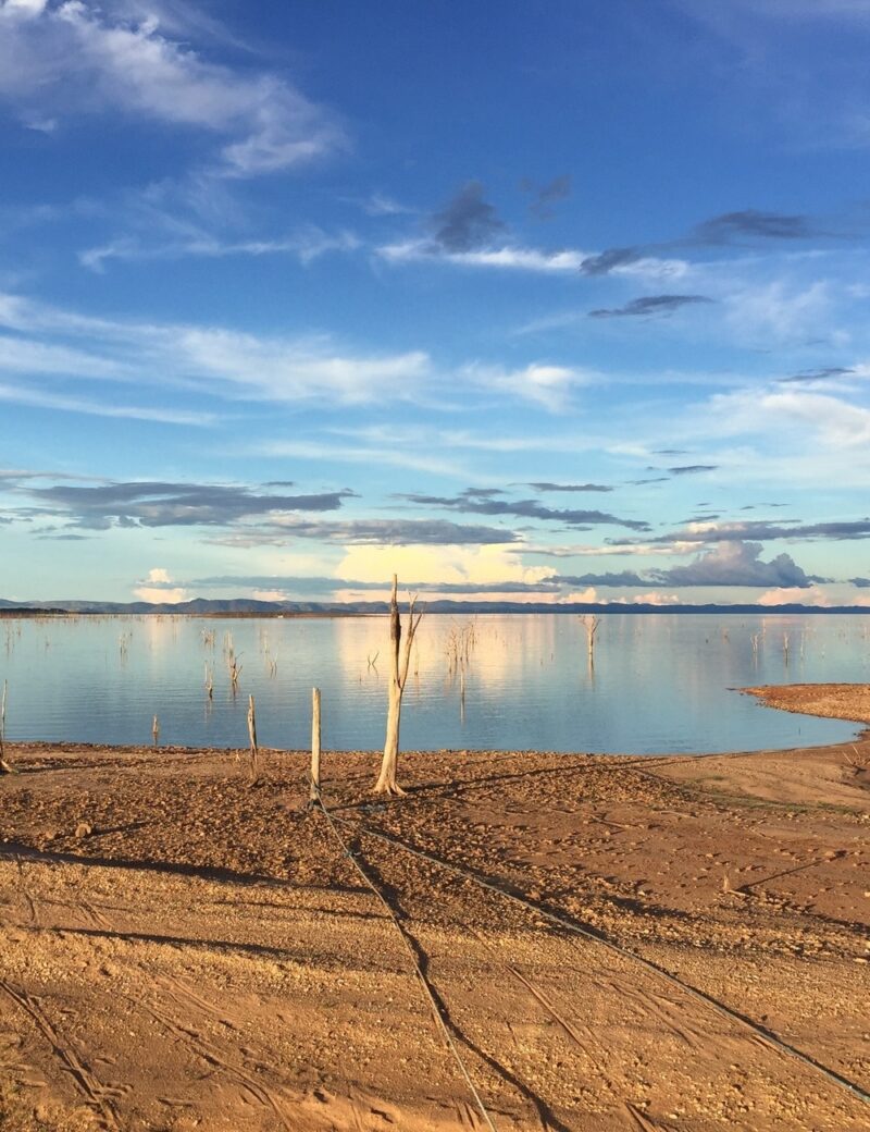 A daytime scenic view of lake kariba zimbabwe, featuring a sandy shoreline, dead trees in the blue water, and partly cloudy skies.