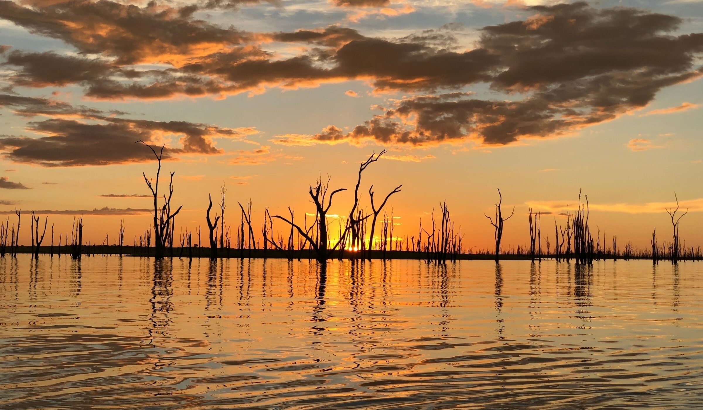 Silhouettes of dead trees emerge from the rippling waters of lake kariba under a dramatic golden and cloudy sunset sky.