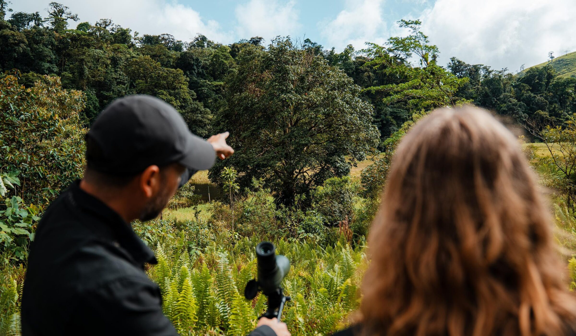 Two people using binoculars to look up at the tree canopy on a costa rica rainforest safari.