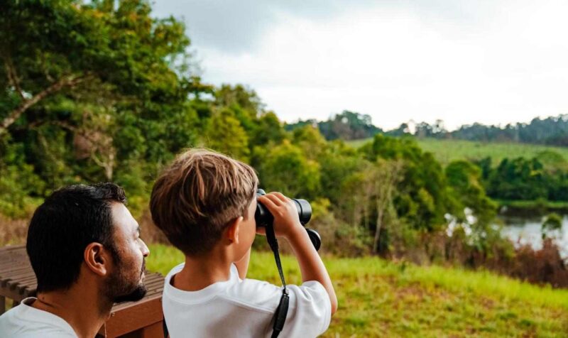: Young boy looking through binoculars standing next to his father, viewing a scenic grassy and forested hills landscape.