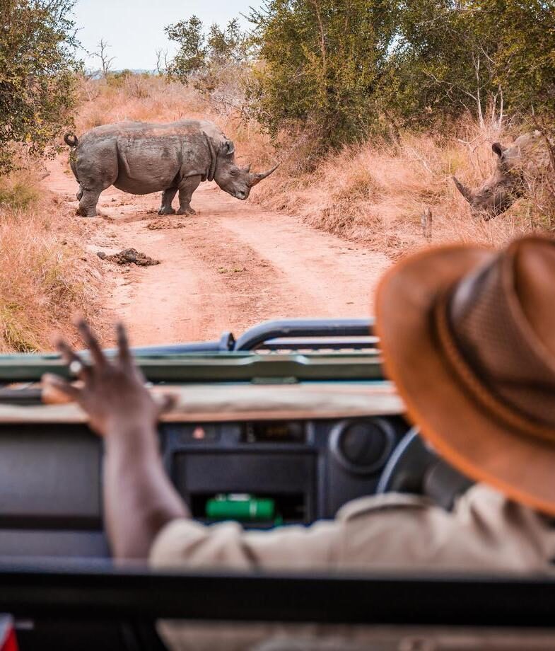 Enjoy a private alfresco lunch in the Aysén region of Chile, with expansive lakes and snow-capped Andean peaks. Observe southern white rhinos on a South African safari and learn about efforts to protect this threatened species.
