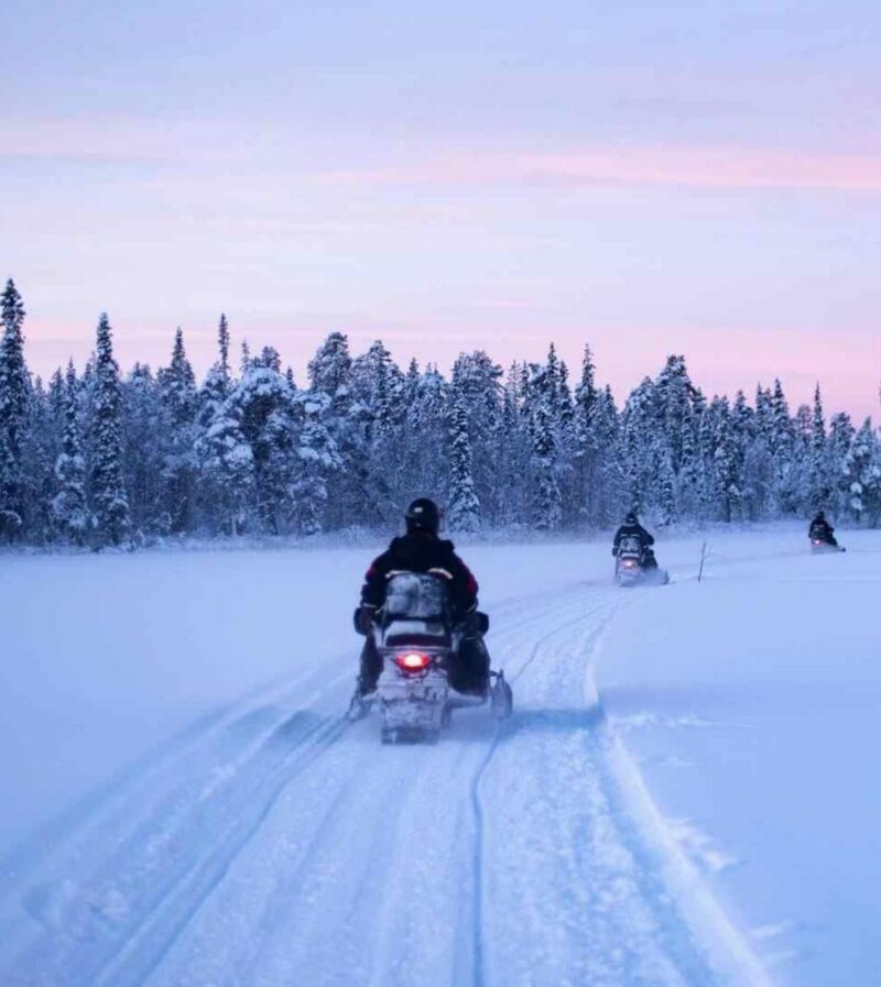 Three people riding snowmobiles on a snowy path through a snow-covered pine forest under a soft purple and pink twilight sky.