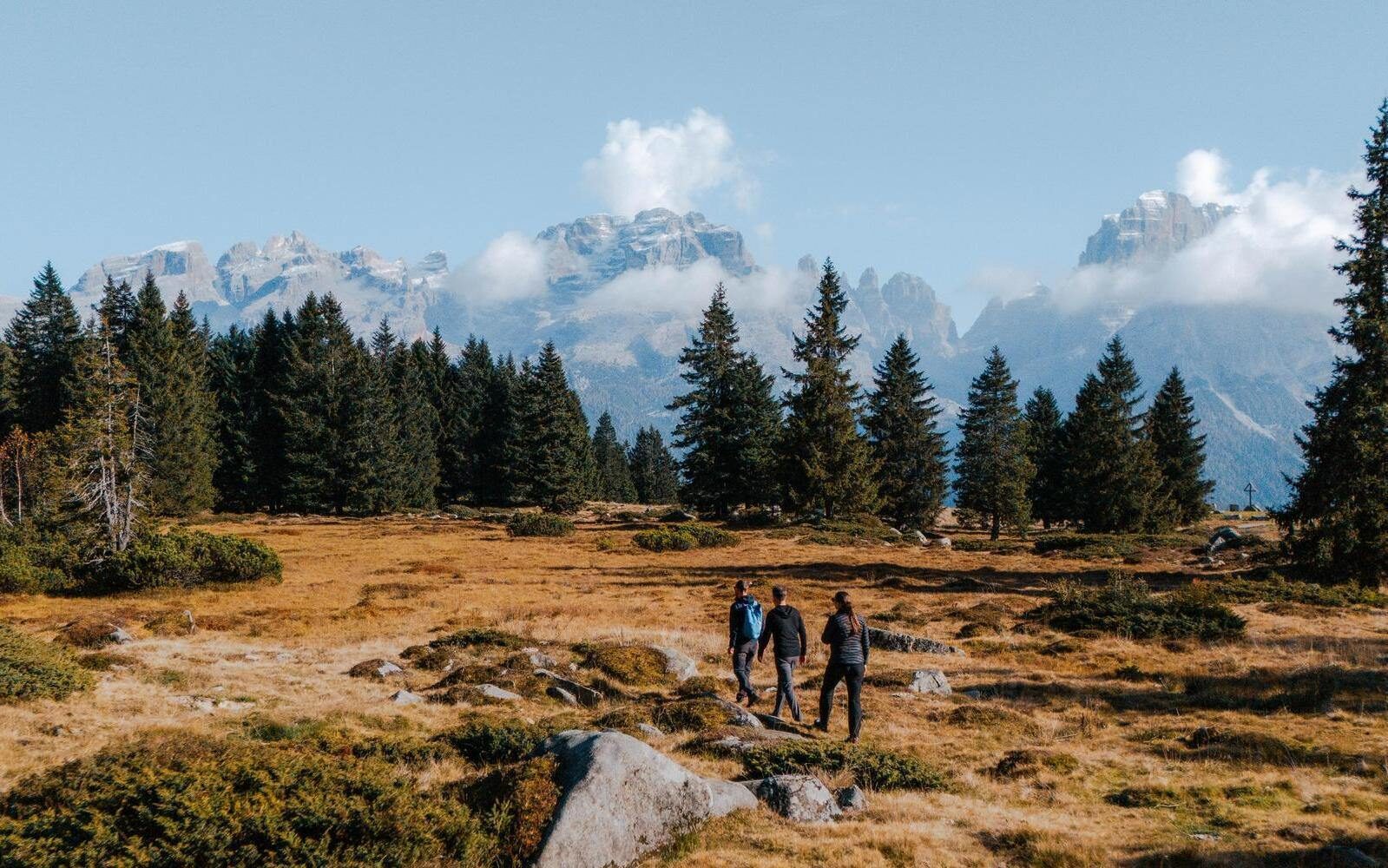 Hiking through northern Italy, where golden fields and dark green forests contrast against the sharp, icy peaks of the Dolomites.