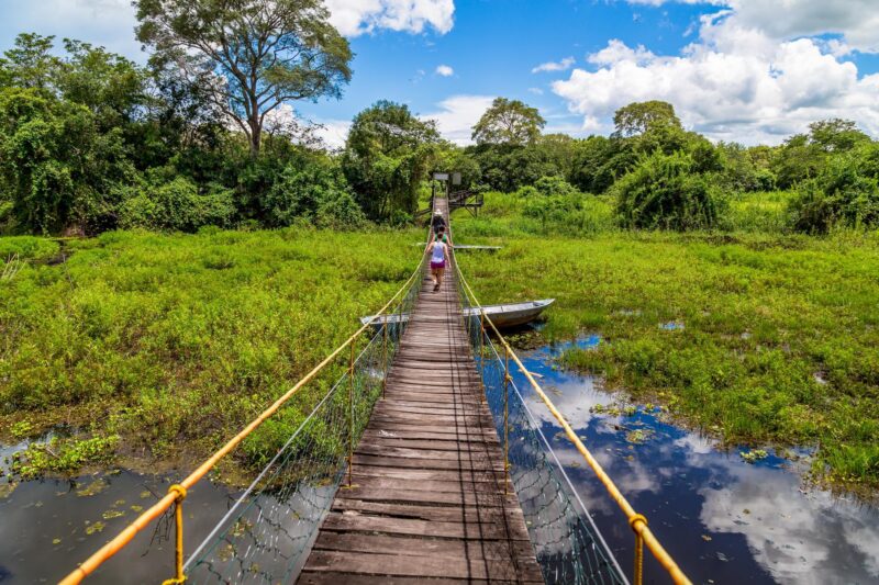 People walk across a wooden suspension bridge over a vibrant green wetland with a moored boat under a cloudy blue sky.