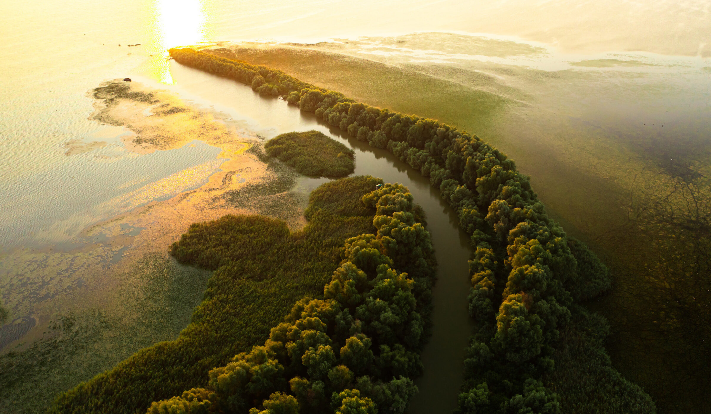 Aerial view of a winding river lined with green trees in a wetland landscape during a bright sunrise.