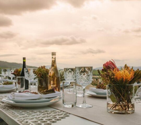 Savour private dinners in the Winelands