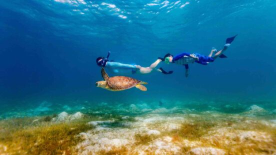 Two people snorkelling underwater in clear ocean water right behind a sea turtle.