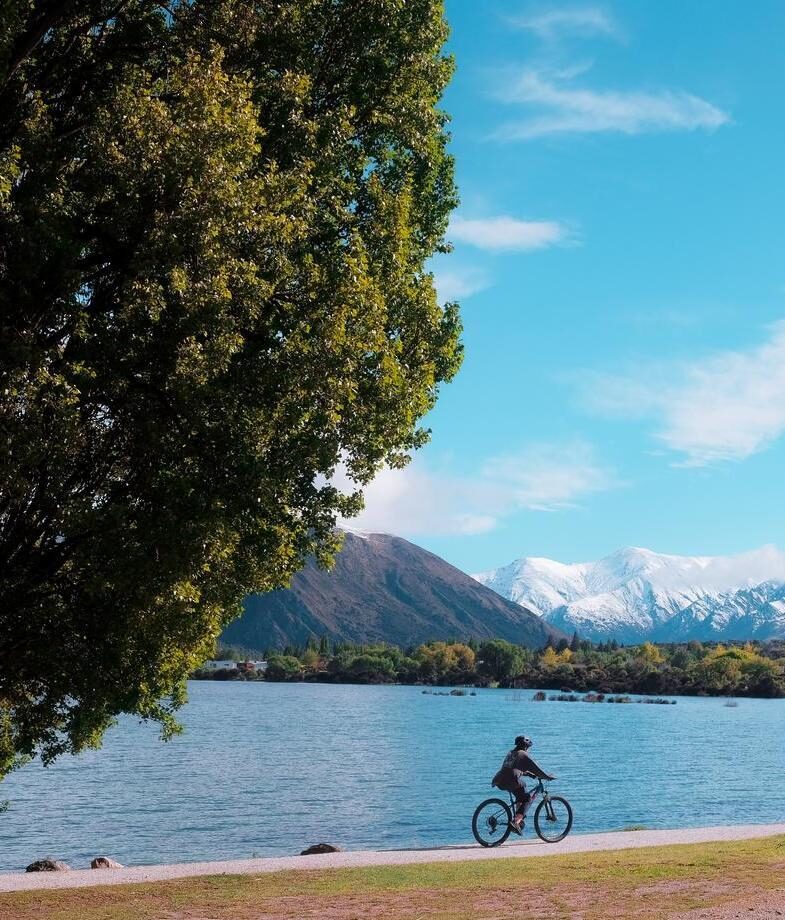Look out for kea, the worldx27;s only alpine parrots, known for their curiosity and often found in mountainous areas such as the Southern Alps. Cycle along the shores of Lake Wakatipu, taking in views of the Remarkables mountain range.
