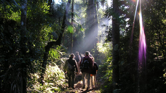 Yacutinga Lodge rainforest walk